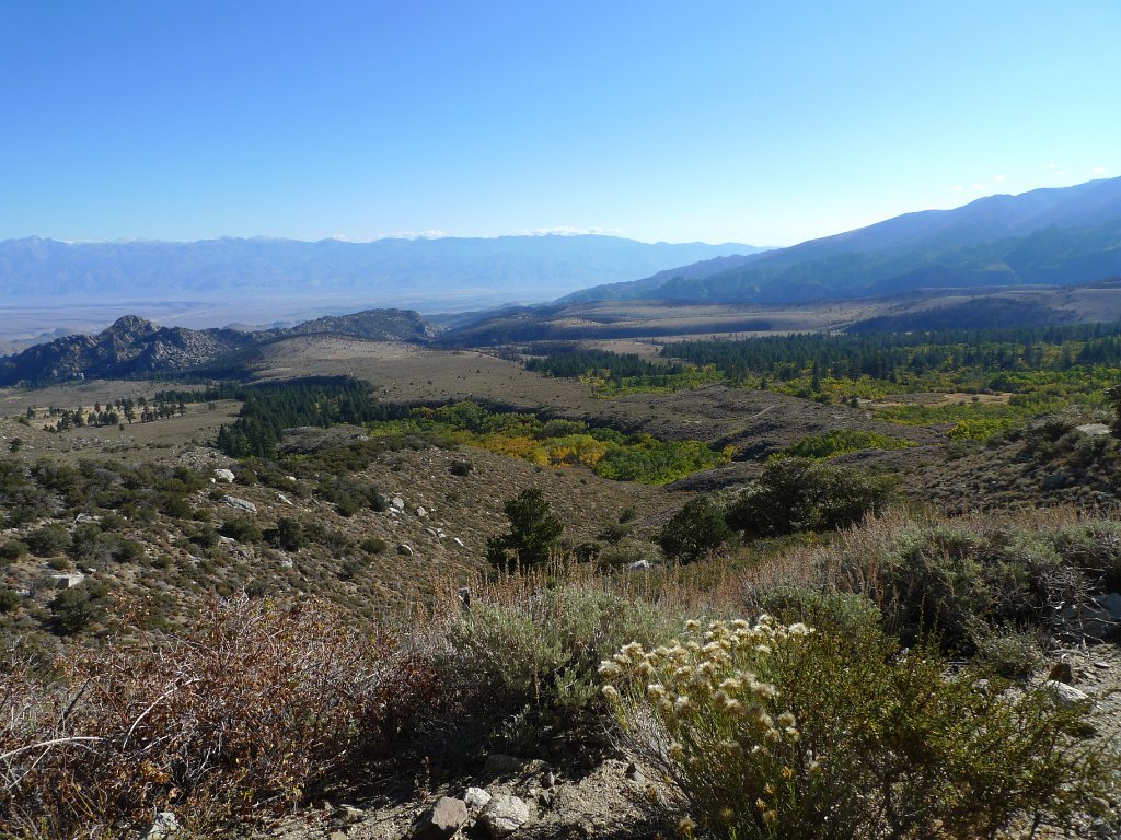 California-Fall2010 528.JPG